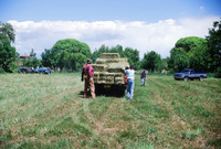Hay baling 018 thumbnail