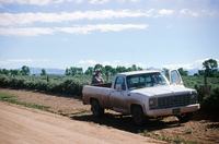 Logging protests 106 thumbnail
