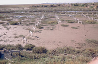 Pt. Mugu Wetlands thumbnail