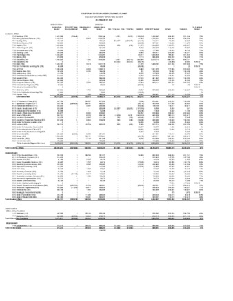 2007 March Operating budget - detail thumbnail