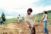 Gallegos farm, Root cellar construction 153 thumbnail