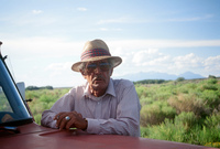 Kaber farm, Fields and crops 026 thumbnail