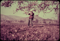 Rollin shooting a shotgun thumbnail