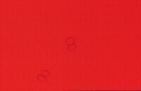 Lytechinus embryo 90 minutes after fertilization thumbnail