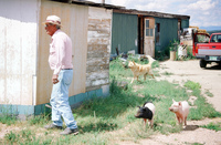 Kaber farm, Woodpile and fields 003 thumbnail