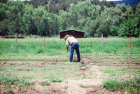 Montoya farm, Irrigating fields 008 thumbnail