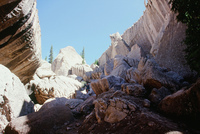 River, plants and mountains 024 thumbnail