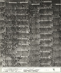 1979 Fresno Co Index 18 [Fresno County, California aerial survey, 1979] thumbnail