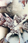 Untitled thumbnail