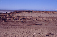 Debris on Ventura county beach after huge El Niño storm series thumbnail