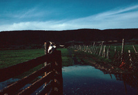 Irrigating fields 008 thumbnail