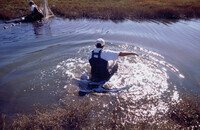 Pt. Mugu Wetlands thumbnail