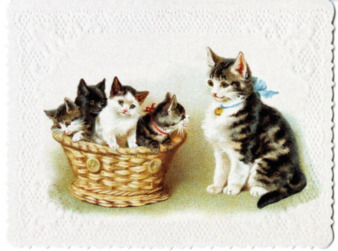 Birthday Card to Michele Serros thumbnail