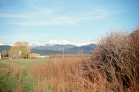 Gallegos farm 026 thumbnail