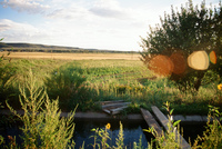 Irrigation ditch 014 thumbnail
