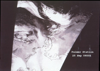 Weather Satelite Shot of Penninsula on Sept. 25, 1993 (lighter version) thumbnail