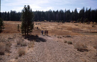 Trout Creek Restored 2001 thumbnail