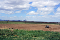 Farming in San Luis Valley 028 thumbnail