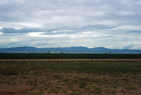 Sunny Valley Inc, Potato farm and processing 029 thumbnail