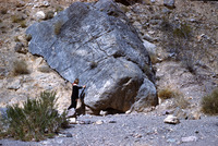 Woman standing beside rock formation in Titus Canyon thumbnail