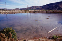 Pt. Mugu Wetlands thumbnail