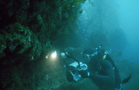 Arnold Ammann using U/W video for fish survey thumbnail