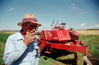 Kaber farm, Harvesting peas 004 thumbnail