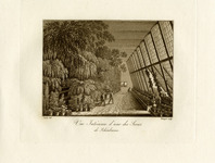 Interior of the garden greenhouse at Schönbrunn thumbnail