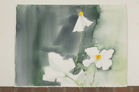 Big White Flowers thumbnail