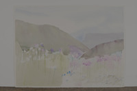 Foothill Wildflowers thumbnail