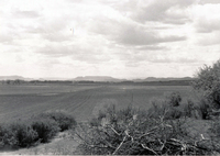 Orchard and valley 002 thumbnail