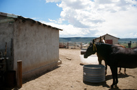 San Luis People's Ditch 012 thumbnail