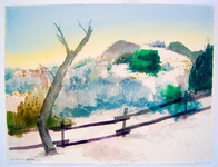 62 Asilomar thumbnail