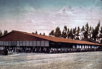 Limoneira Ranch's First Packing House thumbnail