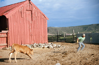 Colorado rural life 050 thumbnail
