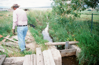 Kaber farm, Setting sluice gates 009 thumbnail