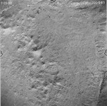 1950 ABI-20G-163 [Fresno County, California aerial survey, 1950] thumbnail