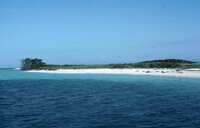 Dry Tortugas: Key where Least Terns have a colony. thumbnail