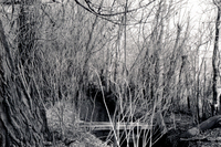 Gallegos farm, El Cerro Ditch 001 thumbnail