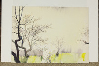 Blossoms In Morning Light thumbnail