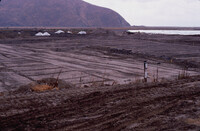 Pt. Mugu Wetlands thumbnail