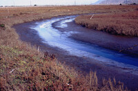 Pt. Mugu Wetlands thumbnail