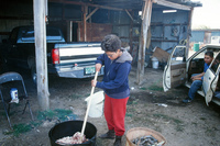 Kaber farm, Making chicharrones 030 thumbnail