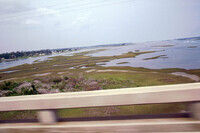 North Carolina Wetlands thumbnail
