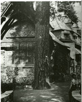 Photographs, Maybeck's Wyntoon Country House, Exterior.Photograph thumbnail