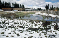 Lake Tahoe Wetland thumbnail