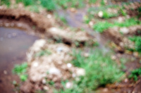 Kaber farm, Irrigating fields 040 thumbnail