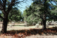 Kaber farm, Volunteers and animals 021 thumbnail