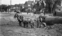 Men digging a ditch. thumbnail