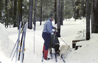 Cross Country Skiing by Shaver Lake Cabin thumbnail